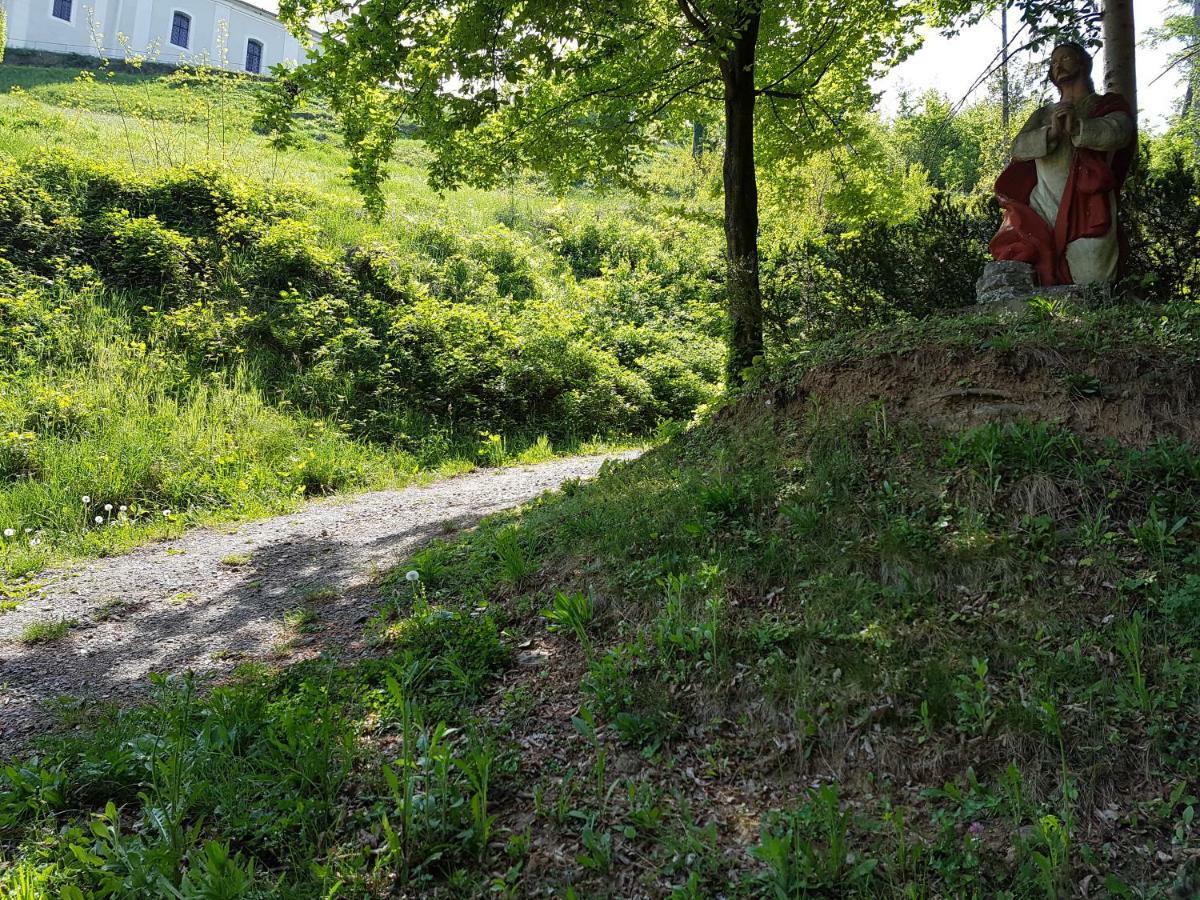 Gasthof Restaurant Steirereck'N Schwanberg Bagian luar foto